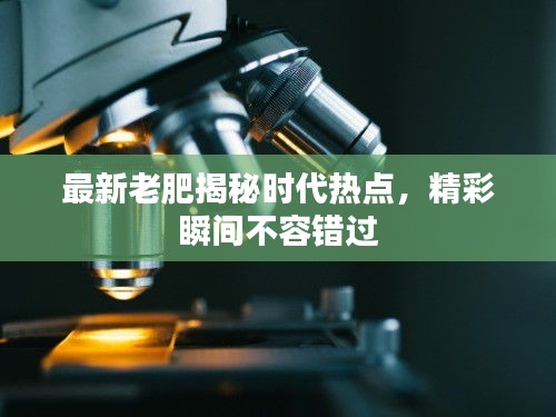 最新老肥揭秘時(shí)代熱點(diǎn)，精彩瞬間不容錯(cuò)過