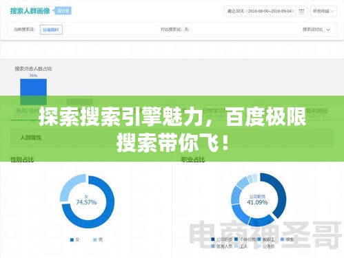 探索搜索引擎魅力，百度極限搜索帶你飛！