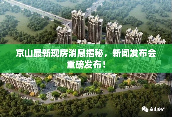 京山最新現(xiàn)房消息揭秘，新聞發(fā)布會重磅發(fā)布！